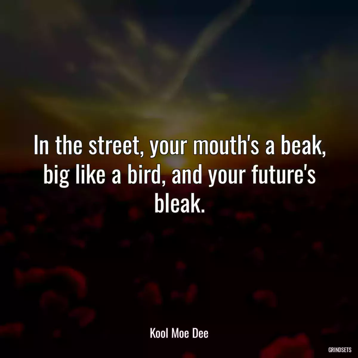 In the street, your mouth\'s a beak, big like a bird, and your future\'s bleak.