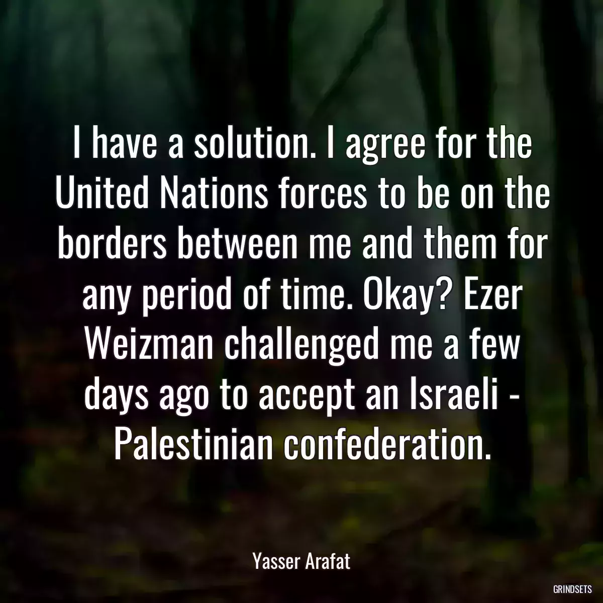 I have a solution. I agree for the United Nations forces to be on the borders between me and them for any period of time. Okay? Ezer Weizman challenged me a few days ago to accept an Israeli - Palestinian confederation.