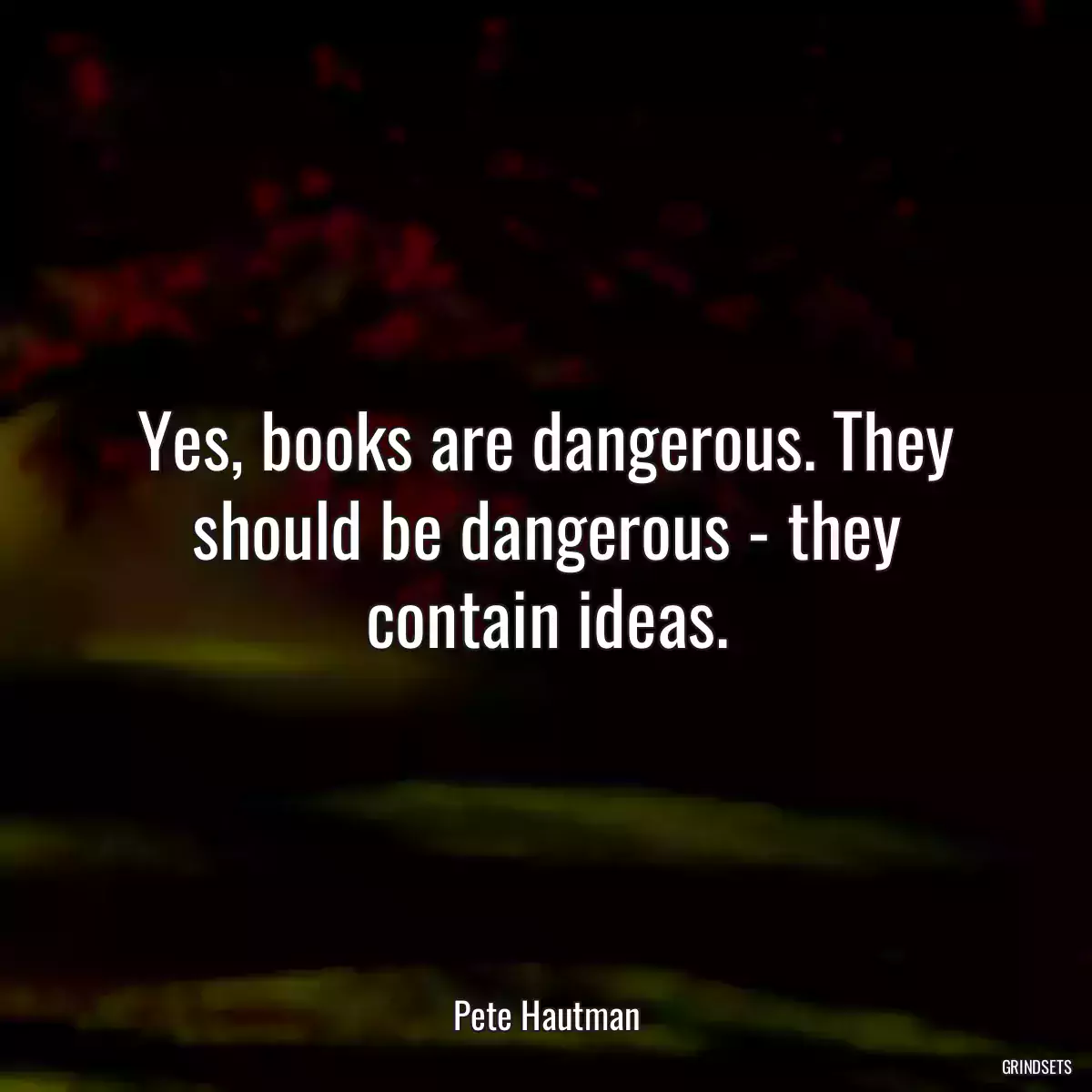 Yes, books are dangerous. They should be dangerous - they contain ideas.