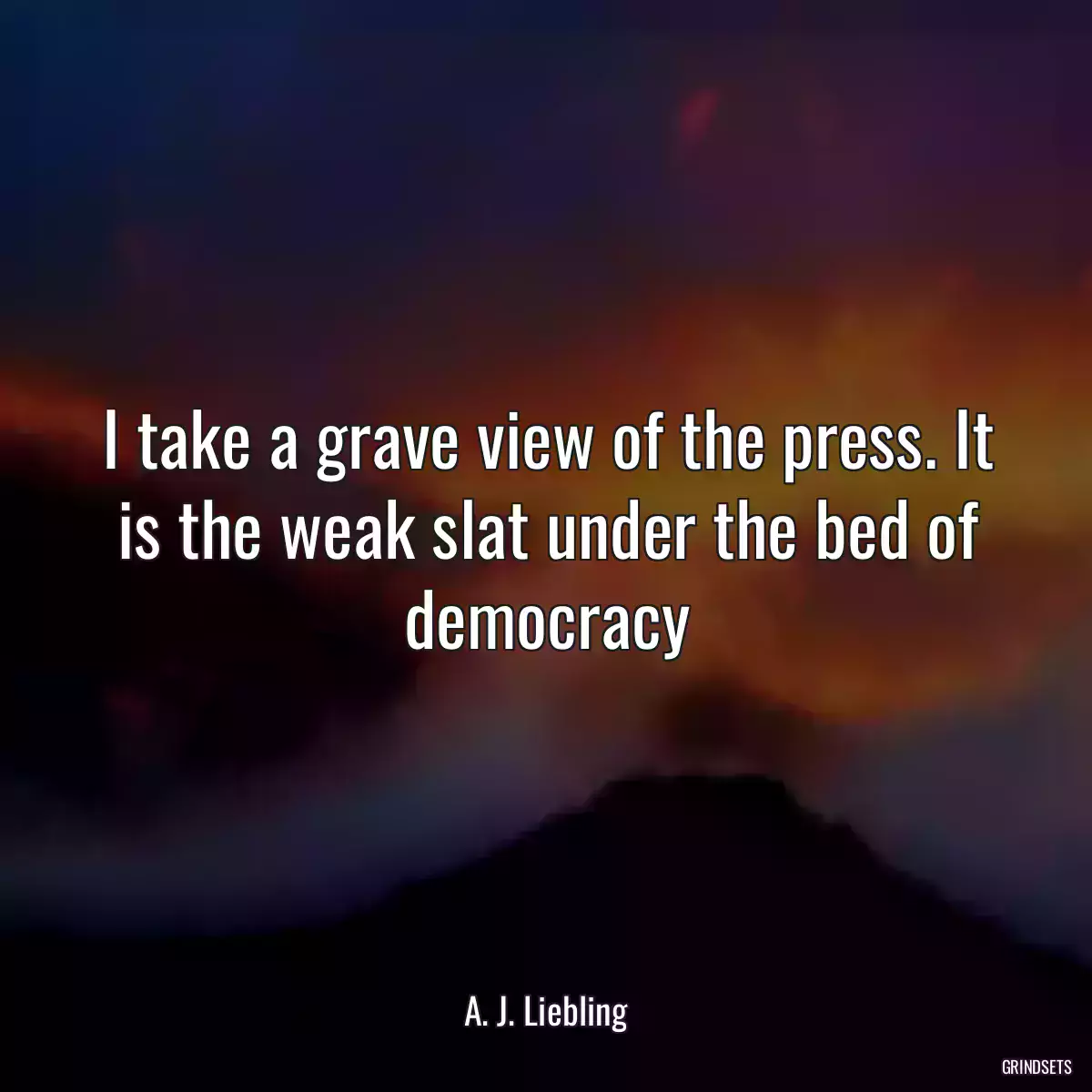 I take a grave view of the press. It is the weak slat under the bed of democracy