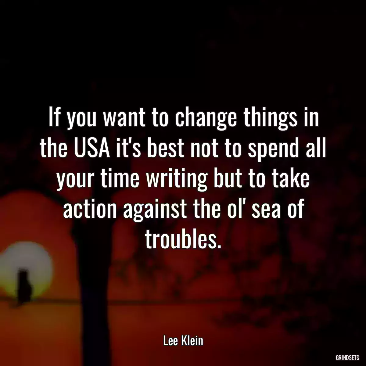 If you want to change things in the USA it\'s best not to spend all your time writing but to take action against the ol\' sea of troubles.