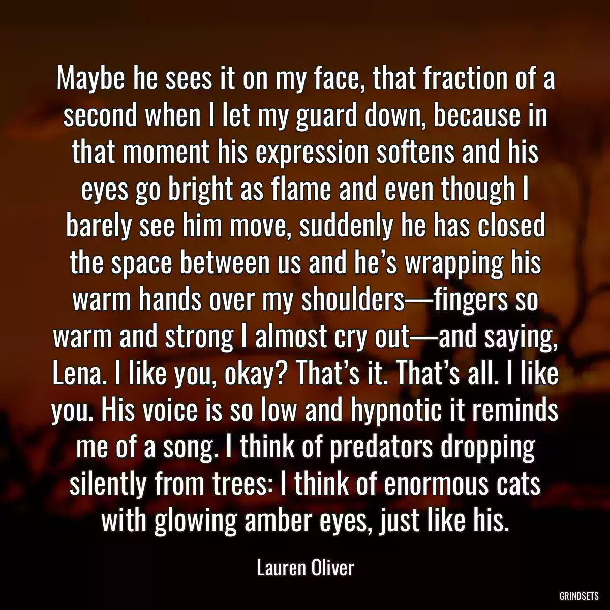 Maybe he sees it on my face, that fraction of a second when I let my guard down, because in that moment his expression softens and his eyes go bright as flame and even though I barely see him move, suddenly he has closed the space between us and he’s wrapping his warm hands over my shoulders—fingers so warm and strong I almost cry out—and saying, Lena. I like you, okay? That’s it. That’s all. I like you. His voice is so low and hypnotic it reminds me of a song. I think of predators dropping silently from trees: I think of enormous cats with glowing amber eyes, just like his.