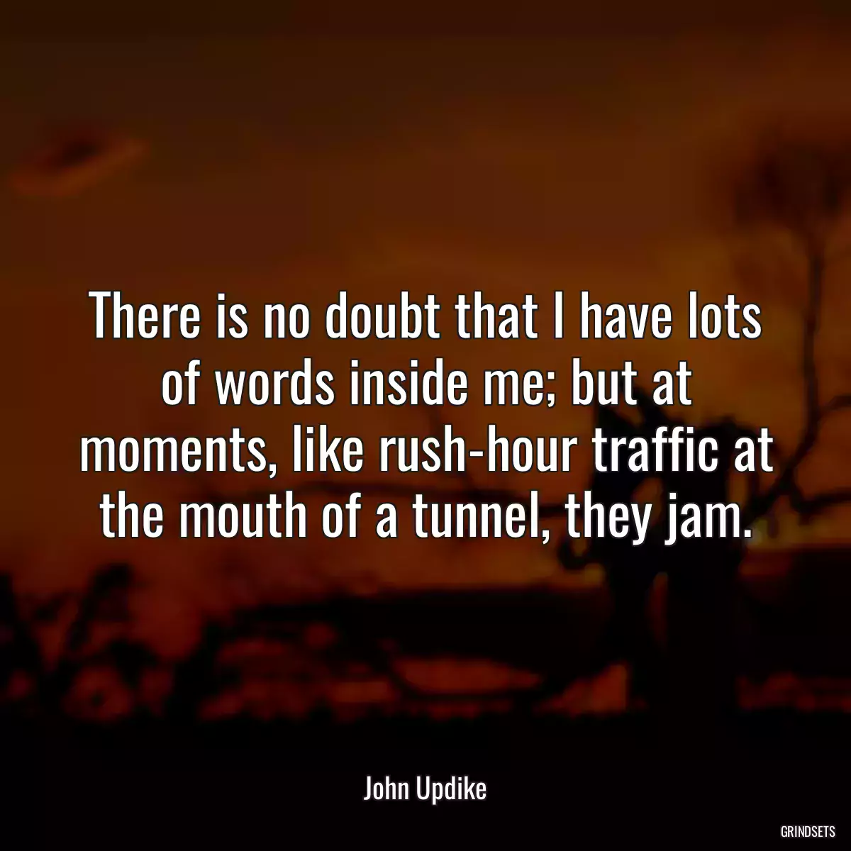 There is no doubt that I have lots of words inside me; but at moments, like rush-hour traffic at the mouth of a tunnel, they jam.