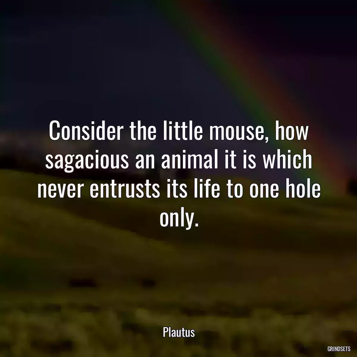 Consider the little mouse, how sagacious an animal it is which never entrusts its life to one hole only.