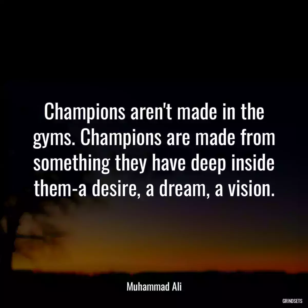 Champions aren\'t made in the gyms. Champions are made from something they have deep inside them-a desire, a dream, a vision.