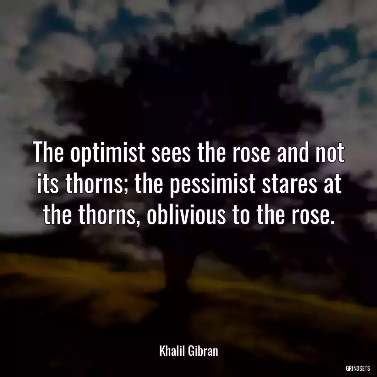 The optimist sees the rose and not its thorns; the pessimist stares at the thorns, oblivious to the rose.