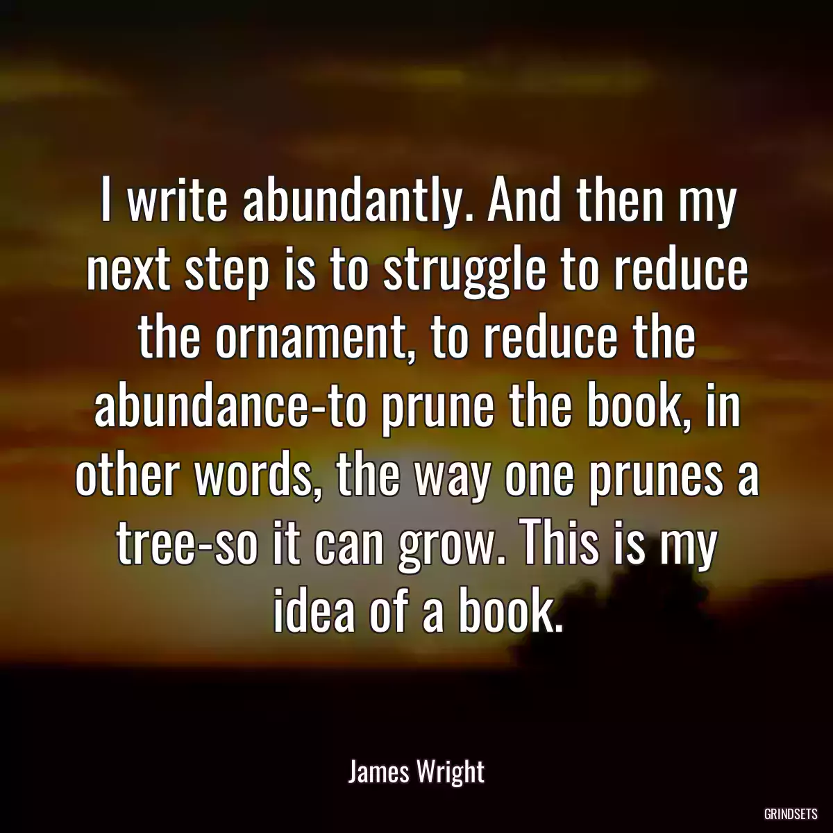 I write abundantly. And then my next step is to struggle to reduce the ornament, to reduce the abundance-to prune the book, in other words, the way one prunes a tree-so it can grow. This is my idea of a book.