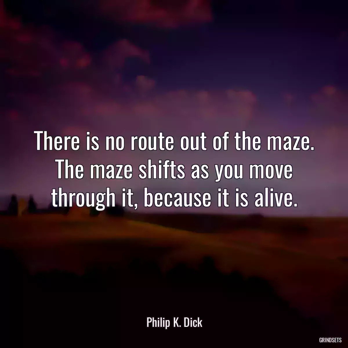 There is no route out of the maze. The maze shifts as you move through it, because it is alive.