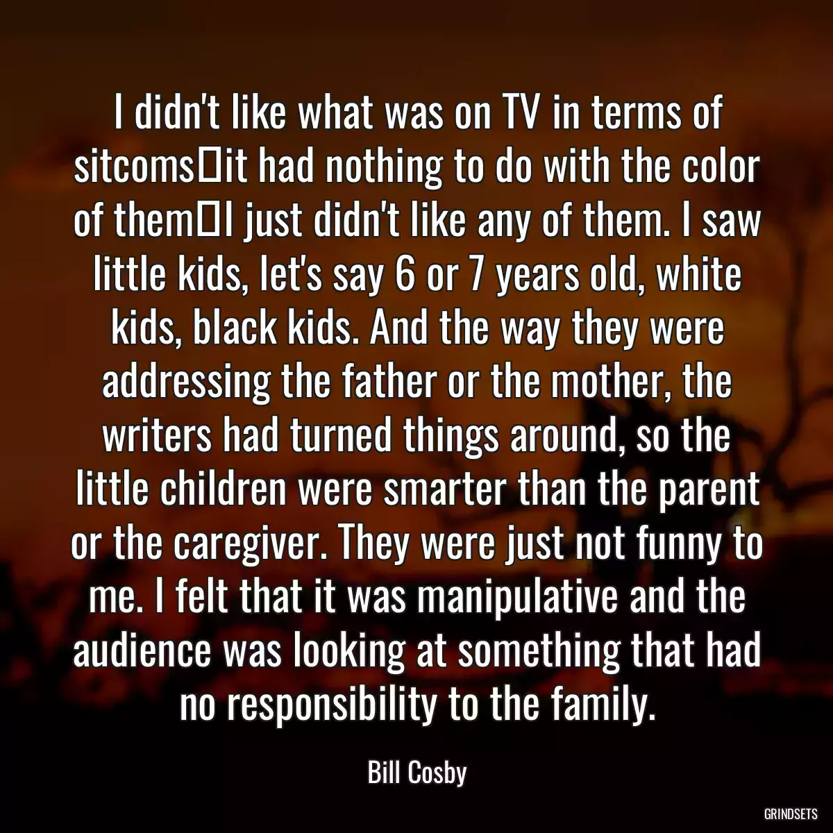 I didn\'t like what was on TV in terms of sitcomsit had nothing to do with the color of themI just didn\'t like any of them. I saw little kids, let\'s say 6 or 7 years old, white kids, black kids. And the way they were addressing the father or the mother, the writers had turned things around, so the little children were smarter than the parent or the caregiver. They were just not funny to me. I felt that it was manipulative and the audience was looking at something that had no responsibility to the family.