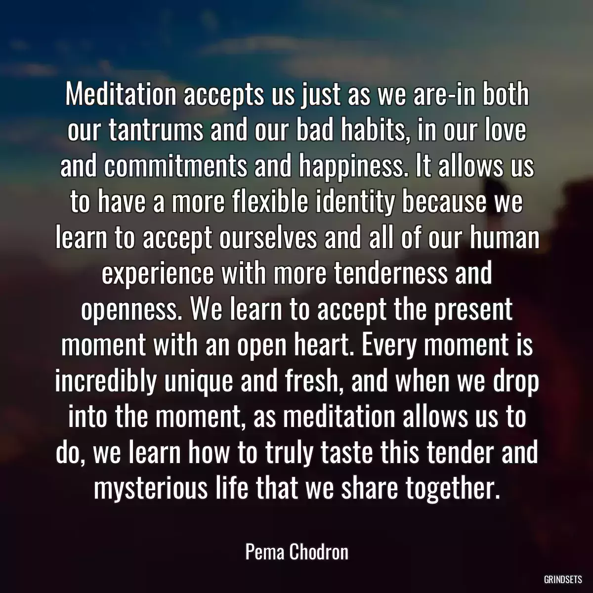 Meditation accepts us just as we are-in both our tantrums and our bad habits, in our love and commitments and happiness. It allows us to have a more flexible identity because we learn to accept ourselves and all of our human experience with more tenderness and openness. We learn to accept the present moment with an open heart. Every moment is incredibly unique and fresh, and when we drop into the moment, as meditation allows us to do, we learn how to truly taste this tender and mysterious life that we share together.