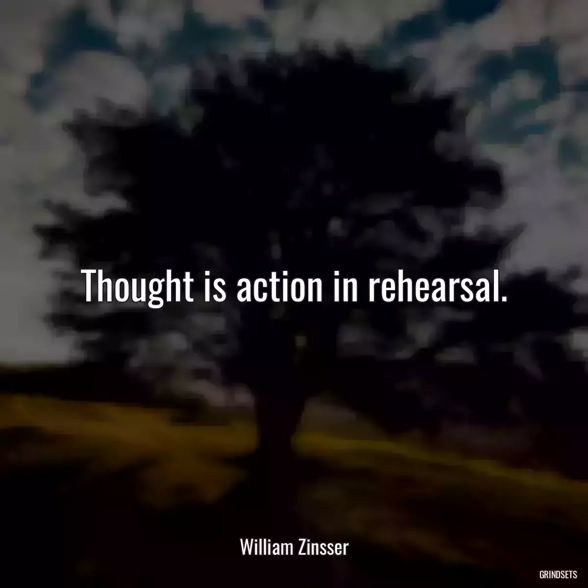 Thought is action in rehearsal.