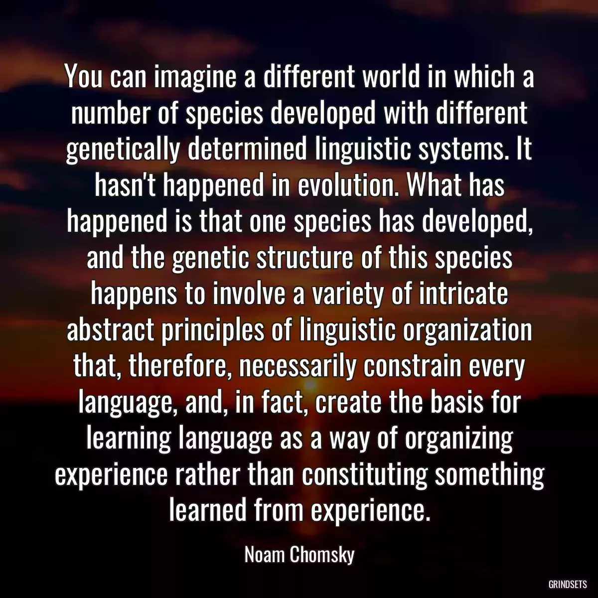 You can imagine a different world in which a number of species developed with different genetically determined linguistic systems. It hasn\'t happened in evolution. What has happened is that one species has developed, and the genetic structure of this species happens to involve a variety of intricate abstract principles of linguistic organization that, therefore, necessarily constrain every language, and, in fact, create the basis for learning language as a way of organizing experience rather than constituting something learned from experience.