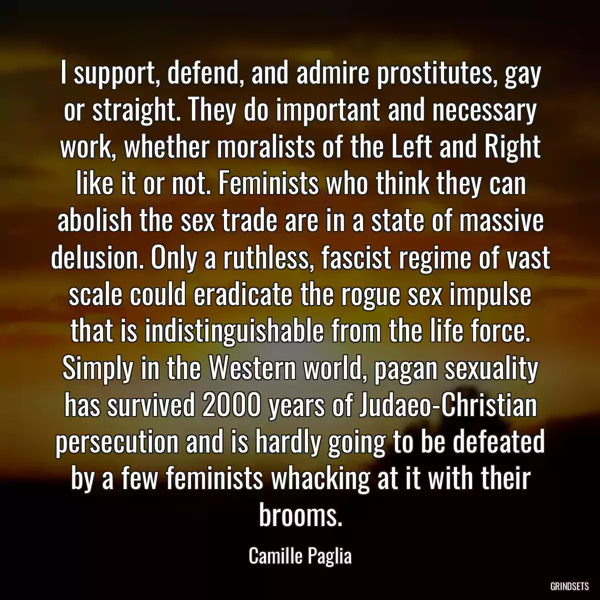 I support, defend, and admire prostitutes, gay or straight. They do important and necessary work, whether moralists of the Left and Right like it or not. Feminists who think they can abolish the sex trade are in a state of massive delusion. Only a ruthless, fascist regime of vast scale could eradicate the rogue sex impulse that is indistinguishable from the life force. Simply in the Western world, pagan sexuality has survived 2000 years of Judaeo-Christian persecution and is hardly going to be defeated by a few feminists whacking at it with their brooms.