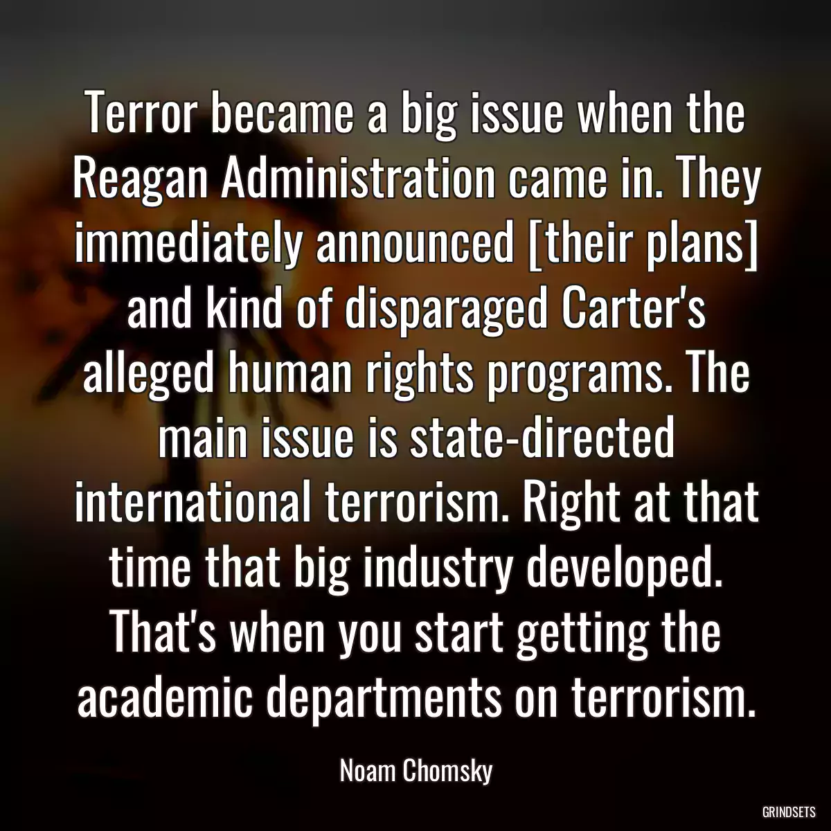 Terror became a big issue when the Reagan Administration came in. They immediately announced [their plans] and kind of disparaged Carter\'s alleged human rights programs. The main issue is state-directed international terrorism. Right at that time that big industry developed. That\'s when you start getting the academic departments on terrorism.