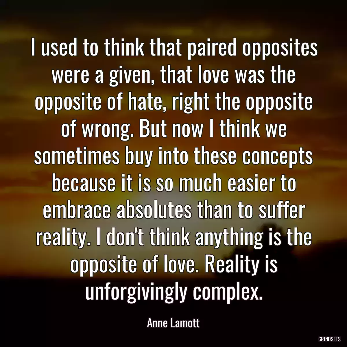 I used to think that paired opposites were a given, that love was the opposite of hate, right the opposite of wrong. But now I think we sometimes buy into these concepts because it is so much easier to embrace absolutes than to suffer reality. I don\'t think anything is the opposite of love. Reality is unforgivingly complex.