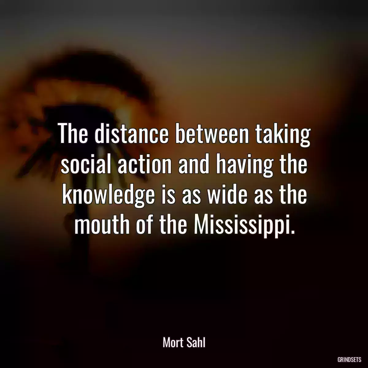 The distance between taking social action and having the knowledge is as wide as the mouth of the Mississippi.