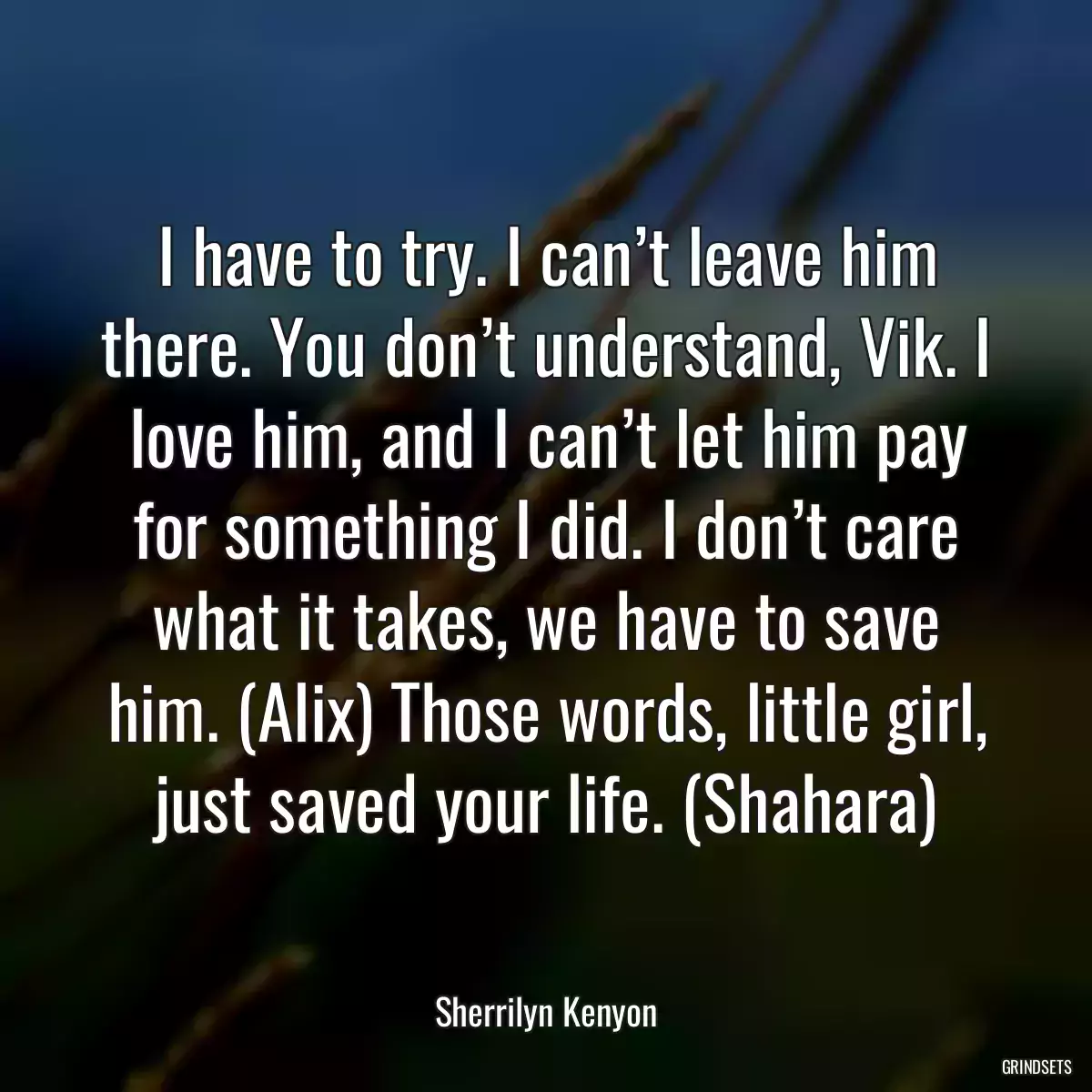 I have to try. I can’t leave him there. You don’t understand, Vik. I love him, and I can’t let him pay for something I did. I don’t care what it takes, we have to save him. (Alix) Those words, little girl, just saved your life. (Shahara)