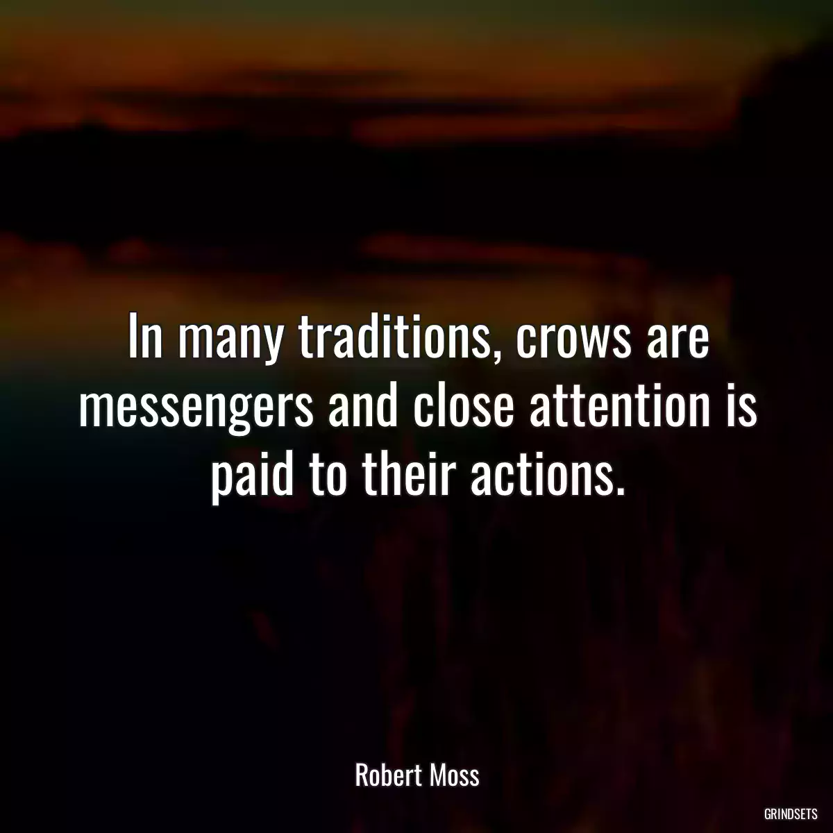 In many traditions, crows are messengers and close attention is paid to their actions.