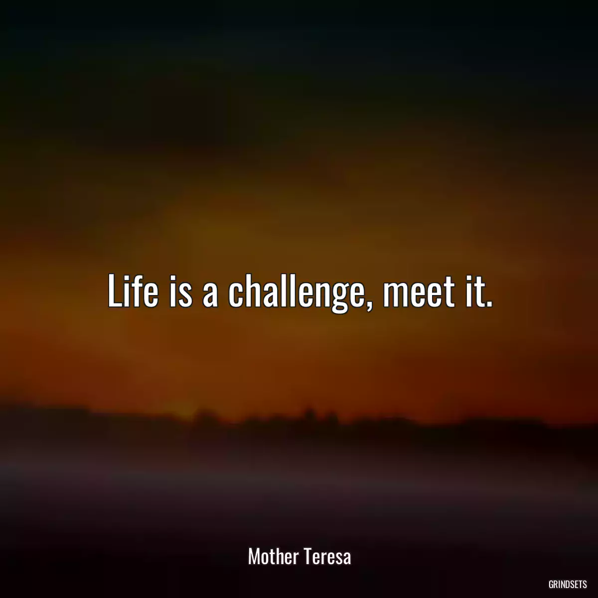 Life is a challenge, meet it.