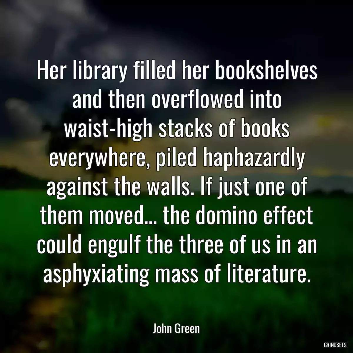 Her library filled her bookshelves and then overflowed into waist-high stacks of books everywhere, piled haphazardly against the walls. If just one of them moved... the domino effect could engulf the three of us in an asphyxiating mass of literature.