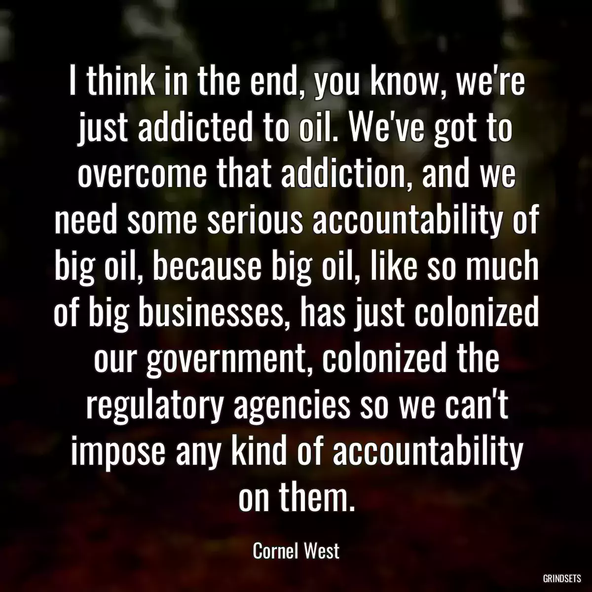 I think in the end, you know, we\'re just addicted to oil. We\'ve got to overcome that addiction, and we need some serious accountability of big oil, because big oil, like so much of big businesses, has just colonized our government, colonized the regulatory agencies so we can\'t impose any kind of accountability on them.