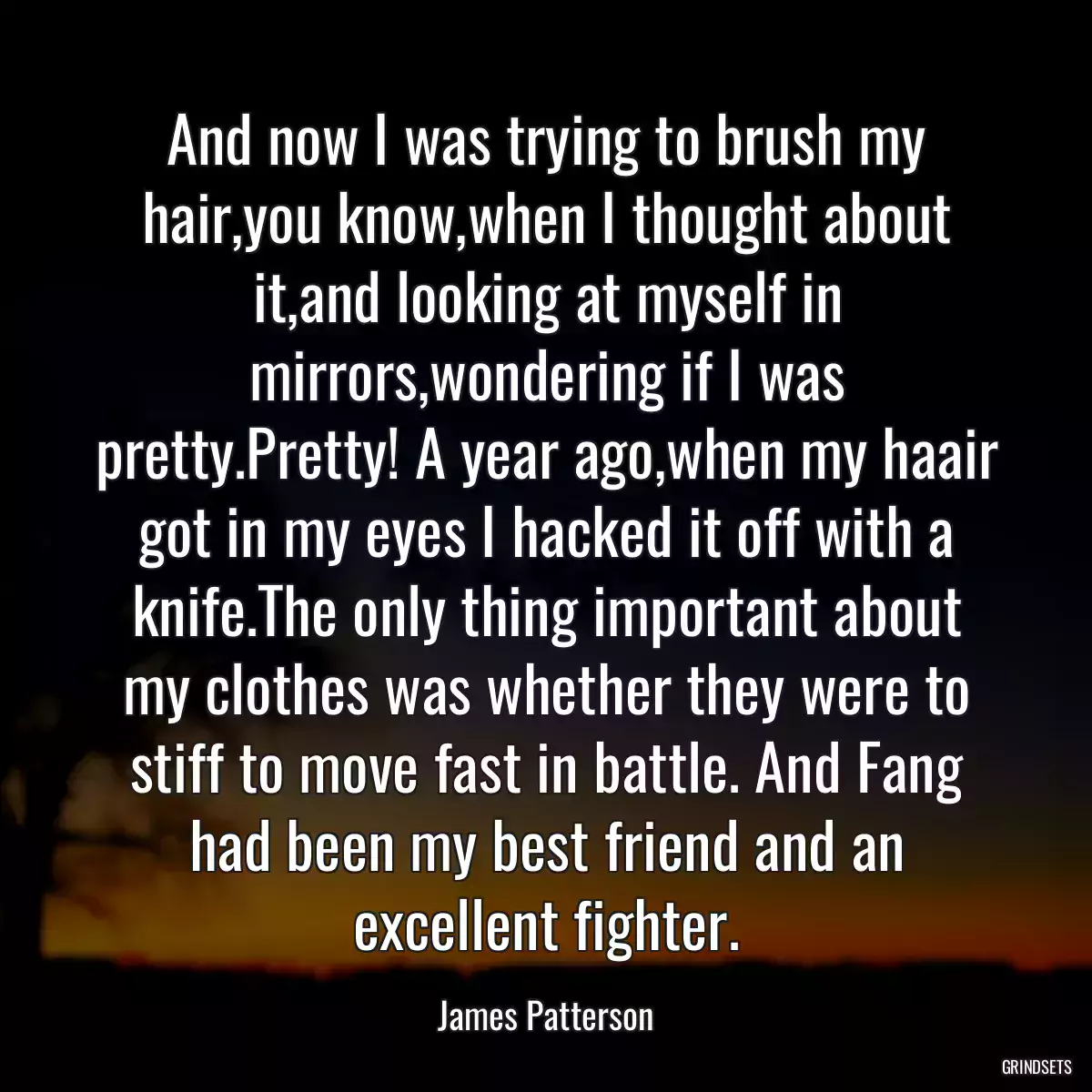 And now I was trying to brush my hair,you know,when I thought about it,and looking at myself in mirrors,wondering if I was pretty.Pretty! A year ago,when my haair got in my eyes I hacked it off with a knife.The only thing important about my clothes was whether they were to stiff to move fast in battle. And Fang had been my best friend and an excellent fighter.