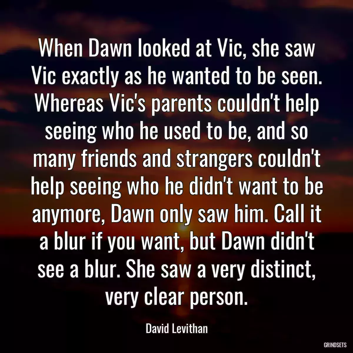 When Dawn looked at Vic, she saw Vic exactly as he wanted to be seen. Whereas Vic\'s parents couldn\'t help seeing who he used to be, and so many friends and strangers couldn\'t help seeing who he didn\'t want to be anymore, Dawn only saw him. Call it a blur if you want, but Dawn didn\'t see a blur. She saw a very distinct, very clear person.