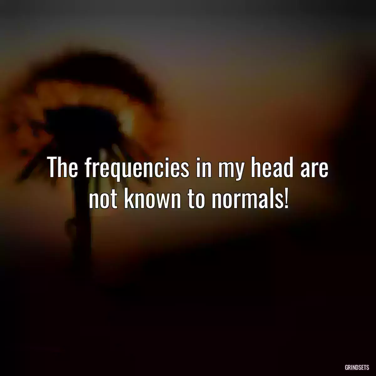 The frequencies in my head are not known to normals!