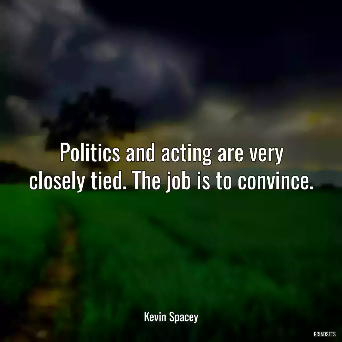 Politics and acting are very closely tied. The job is to convince.