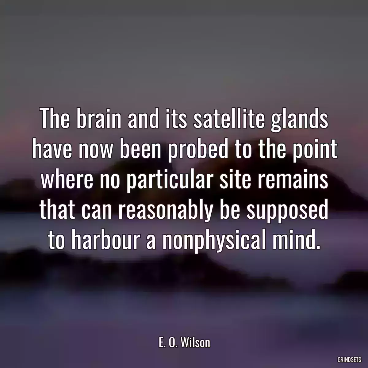 The brain and its satellite glands have now been probed to the point where no particular site remains that can reasonably be supposed to harbour a nonphysical mind.