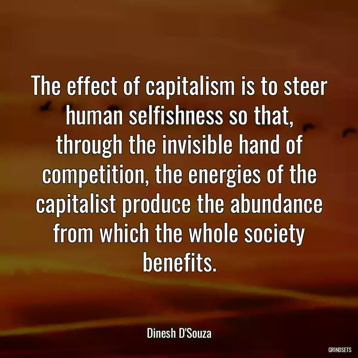 The effect of capitalism is to steer human selfishness so that, through the invisible hand of competition, the energies of the capitalist produce the abundance from which the whole society benefits.