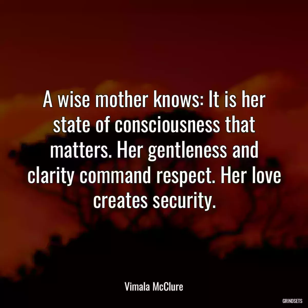 A wise mother knows: It is her state of consciousness that matters. Her gentleness and clarity command respect. Her love creates security.