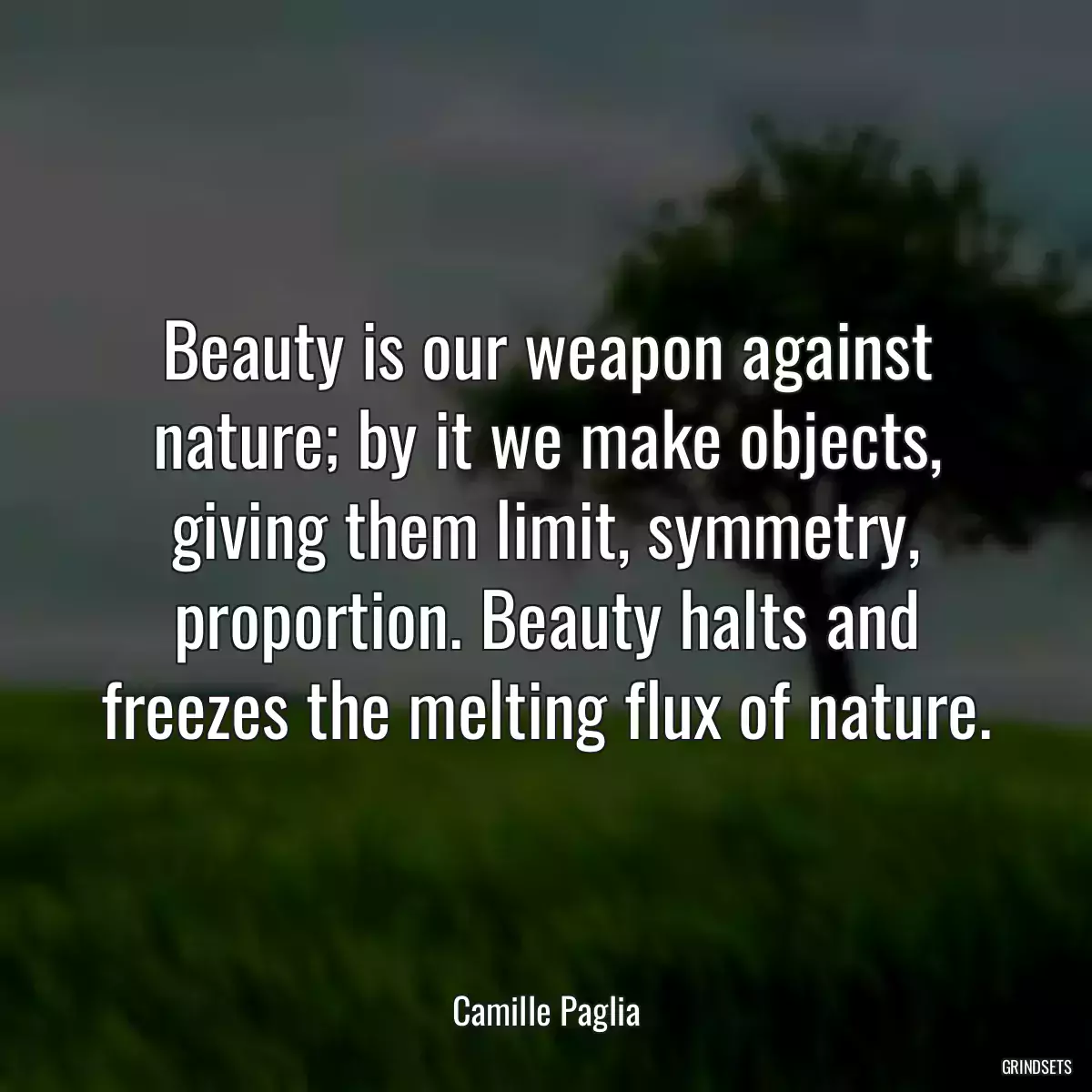 Beauty is our weapon against nature; by it we make objects, giving them limit, symmetry, proportion. Beauty halts and freezes the melting flux of nature.