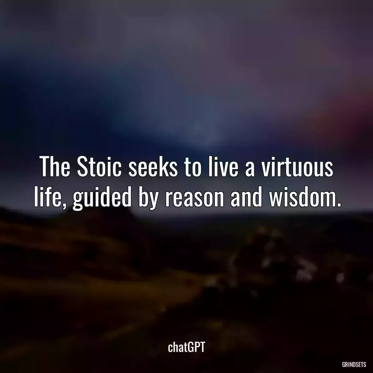 The Stoic seeks to live a virtuous life, guided by reason and wisdom.