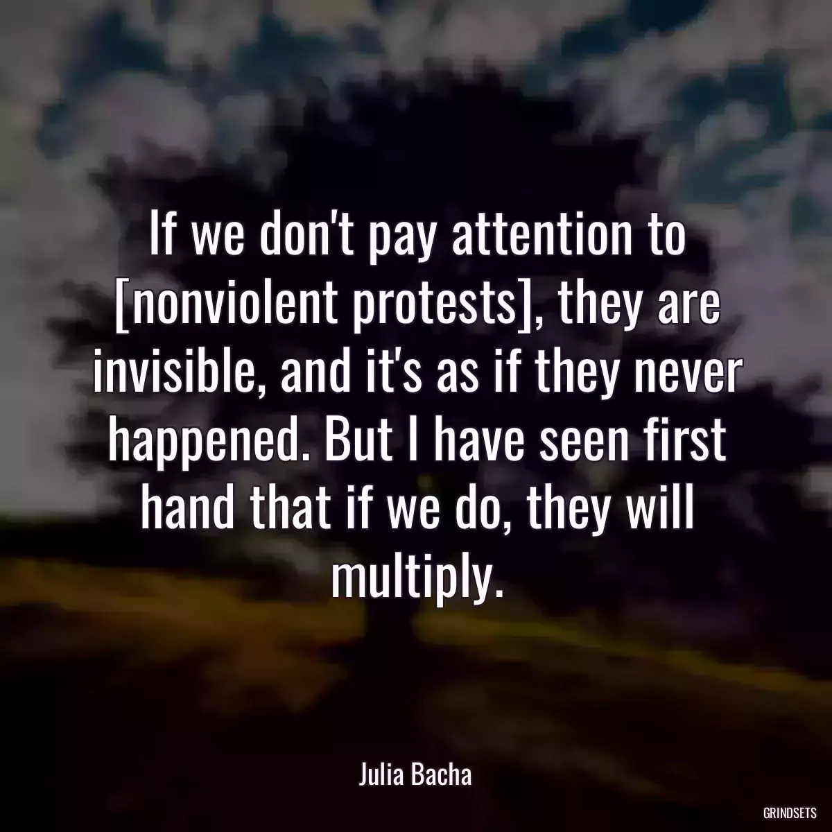 If we don\'t pay attention to [nonviolent protests], they are invisible, and it\'s as if they never happened. But I have seen first hand that if we do, they will multiply.