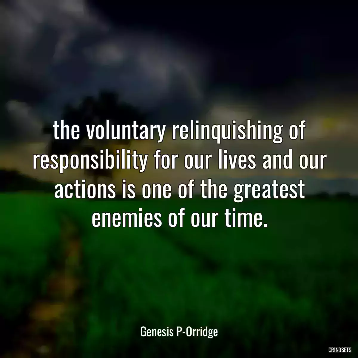 the voluntary relinquishing of responsibility for our lives and our actions is one of the greatest enemies of our time.