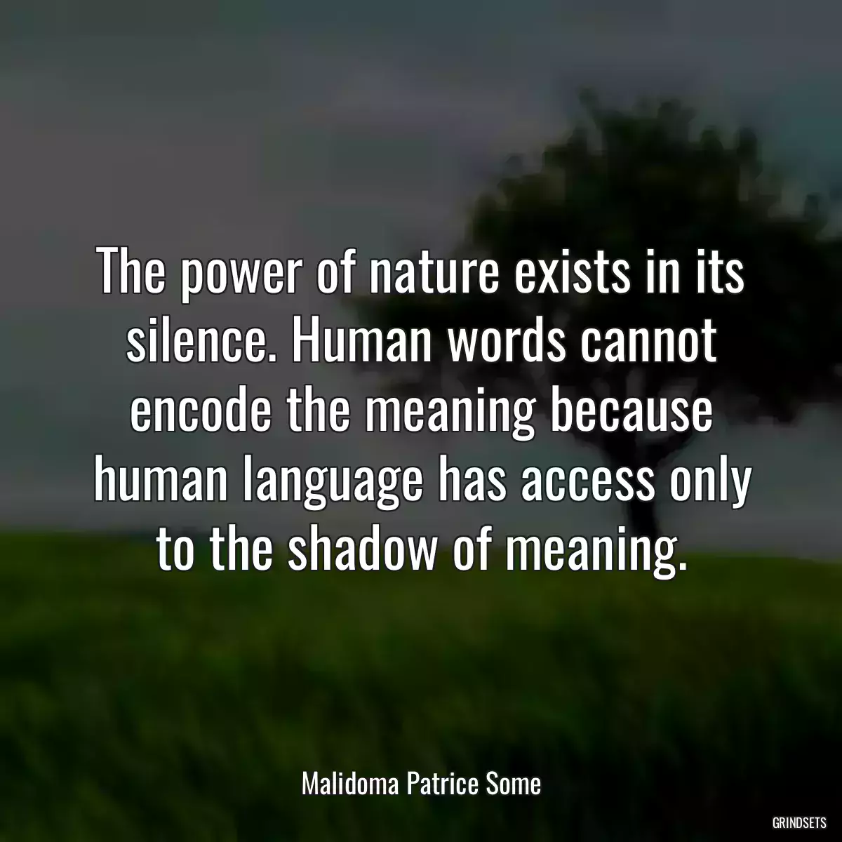 The power of nature exists in its silence. Human words cannot encode the meaning because human language has access only to the shadow of meaning.