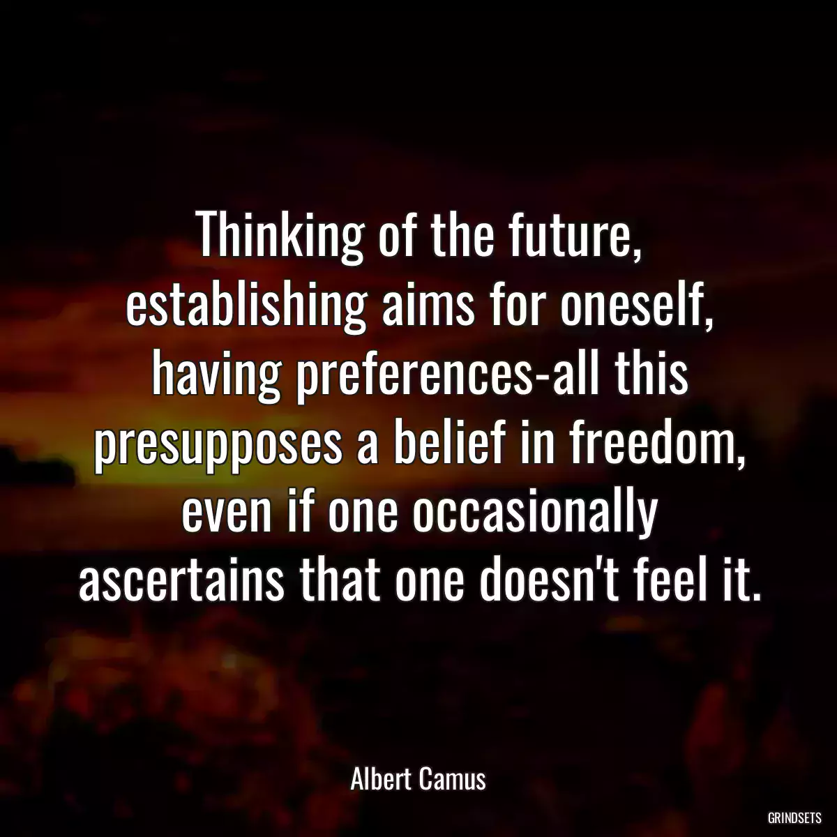 Thinking of the future, establishing aims for oneself, having preferences-all this presupposes a belief in freedom, even if one occasionally ascertains that one doesn\'t feel it.