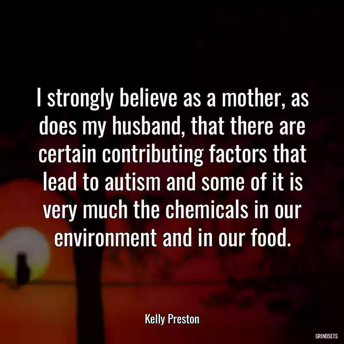 I strongly believe as a mother, as does my husband, that there are certain contributing factors that lead to autism and some of it is very much the chemicals in our environment and in our food.