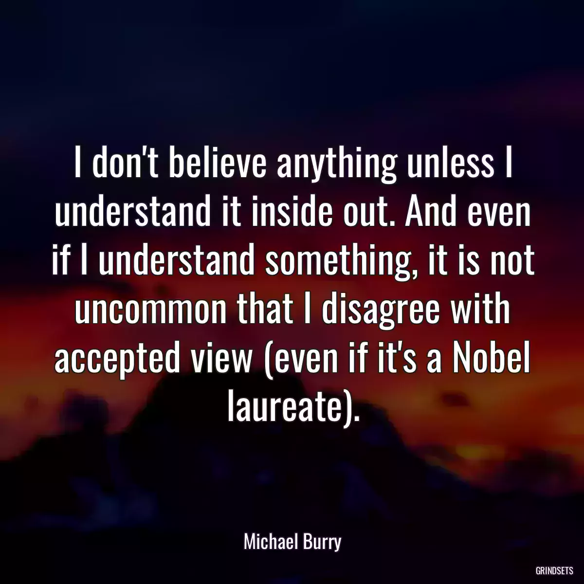 I don\'t believe anything unless I understand it inside out. And even if I understand something, it is not uncommon that I disagree with accepted view (even if it\'s a Nobel laureate).