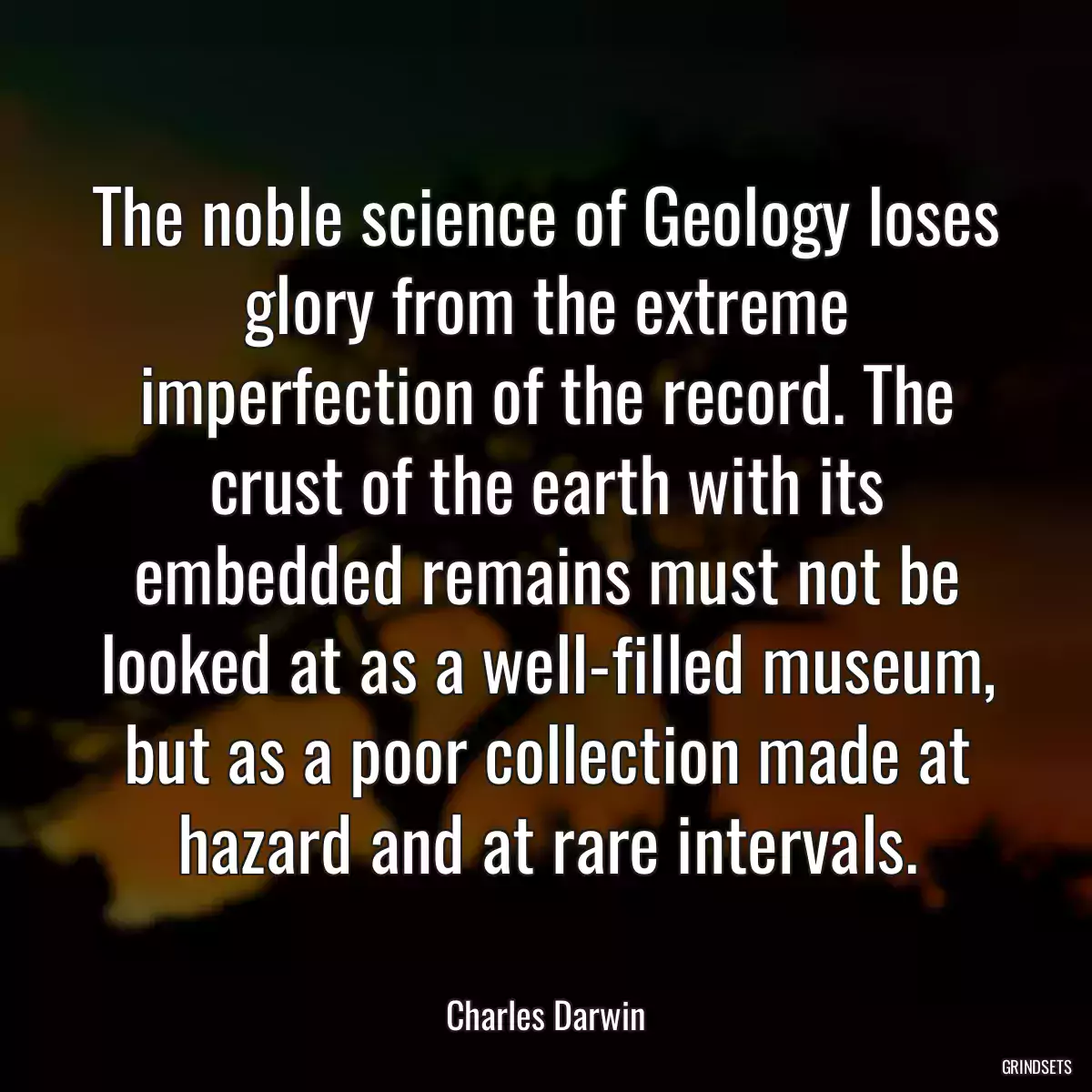 The noble science of Geology loses glory from the extreme imperfection of the record. The crust of the earth with its embedded remains must not be looked at as a well-filled museum, but as a poor collection made at hazard and at rare intervals.