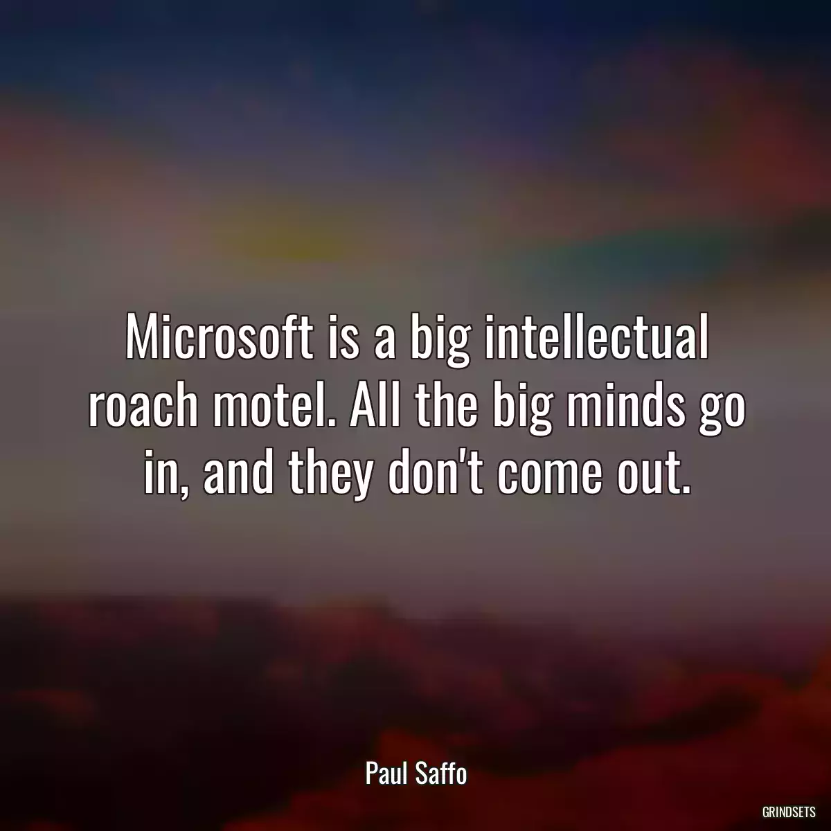 Microsoft is a big intellectual roach motel. All the big minds go in, and they don\'t come out.