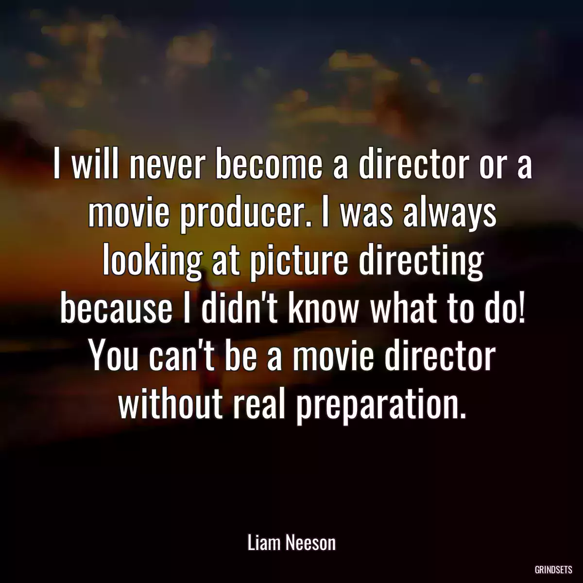 I will never become a director or a movie producer. I was always looking at picture directing because I didn\'t know what to do! You can\'t be a movie director without real preparation.