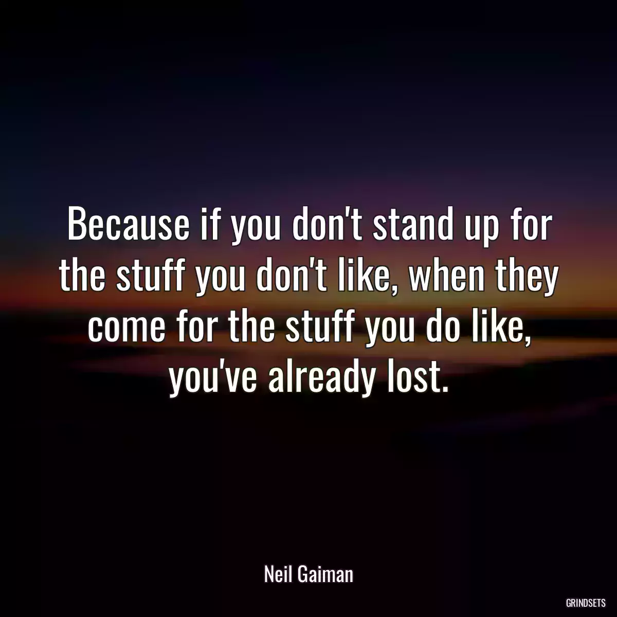 Because if you don\'t stand up for the stuff you don\'t like, when they come for the stuff you do like, you\'ve already lost.