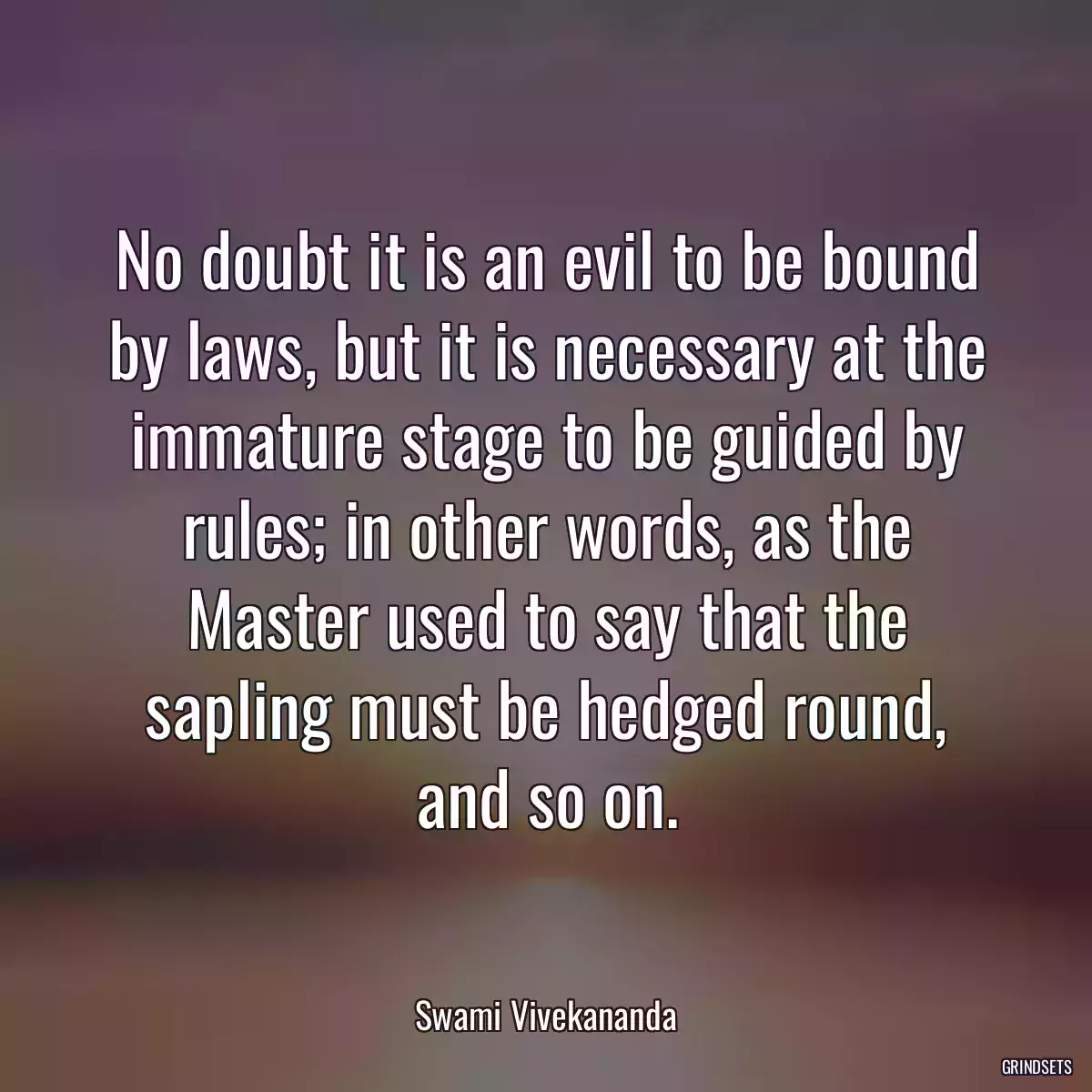 No doubt it is an evil to be bound by laws, but it is necessary at the immature stage to be guided by rules; in other words, as the Master used to say that the sapling must be hedged round, and so on.