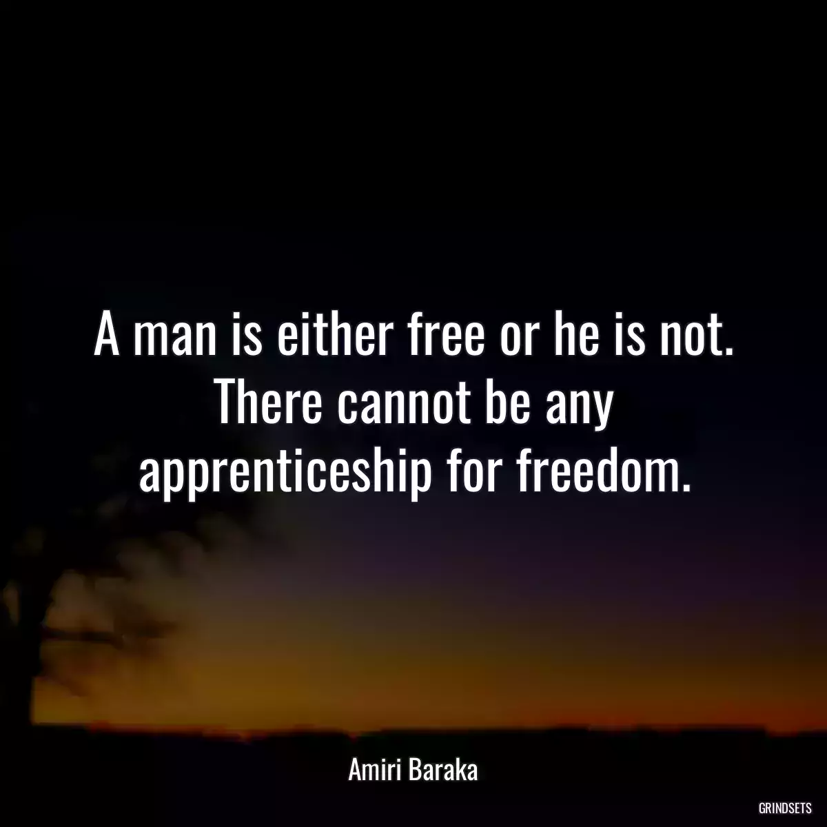 A man is either free or he is not. There cannot be any apprenticeship for freedom.