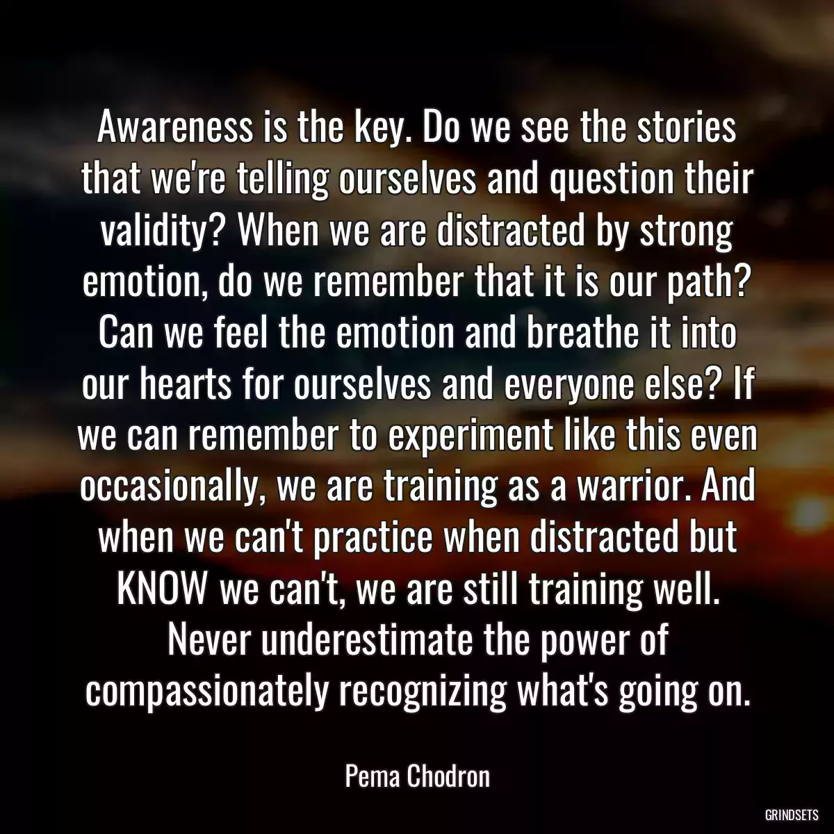 Awareness is the key. Do we see the stories that we\'re telling ourselves and question their validity? When we are distracted by strong emotion, do we remember that it is our path? Can we feel the emotion and breathe it into our hearts for ourselves and everyone else? If we can remember to experiment like this even occasionally, we are training as a warrior. And when we can\'t practice when distracted but KNOW we can\'t, we are still training well. Never underestimate the power of compassionately recognizing what\'s going on.