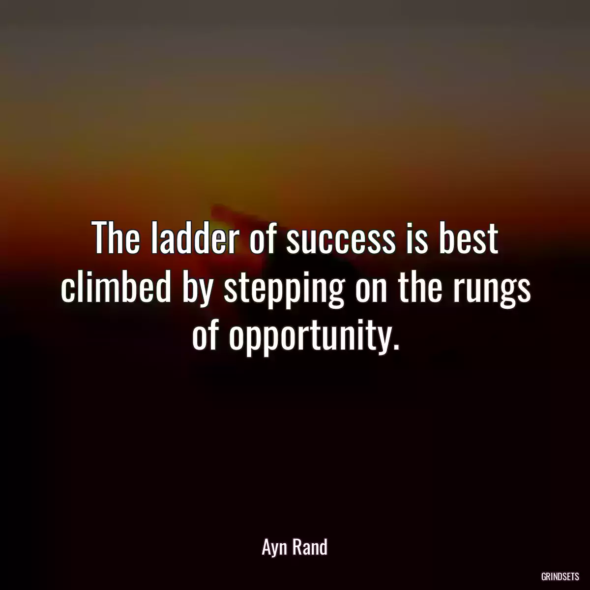 The ladder of success is best climbed by stepping on the rungs of opportunity.