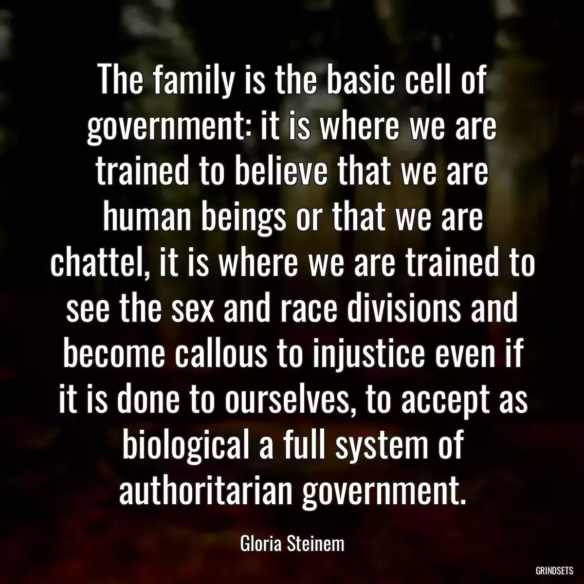 The family is the basic cell of government: it is where we are trained to believe that we are human beings or that we are chattel, it is where we are trained to see the sex and race divisions and become callous to injustice even if it is done to ourselves, to accept as biological a full system of authoritarian government.