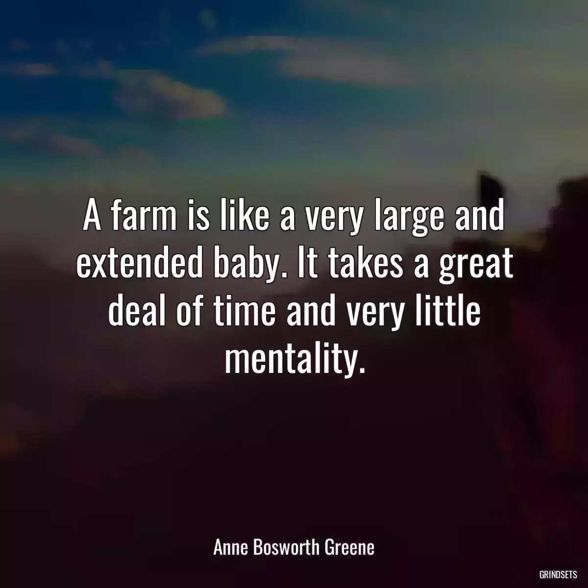 A farm is like a very large and extended baby. It takes a great deal of time and very little mentality.